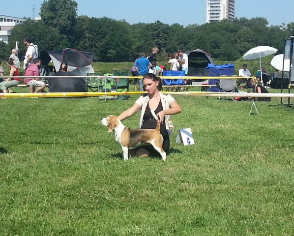 Bratyslawa - Jamajka - CAC,Res.-CACIB